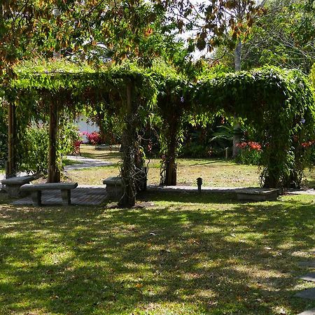 三角梅酒店 Santo Domingo De Heredia 外观 照片